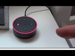 Why Is My Alexa Red